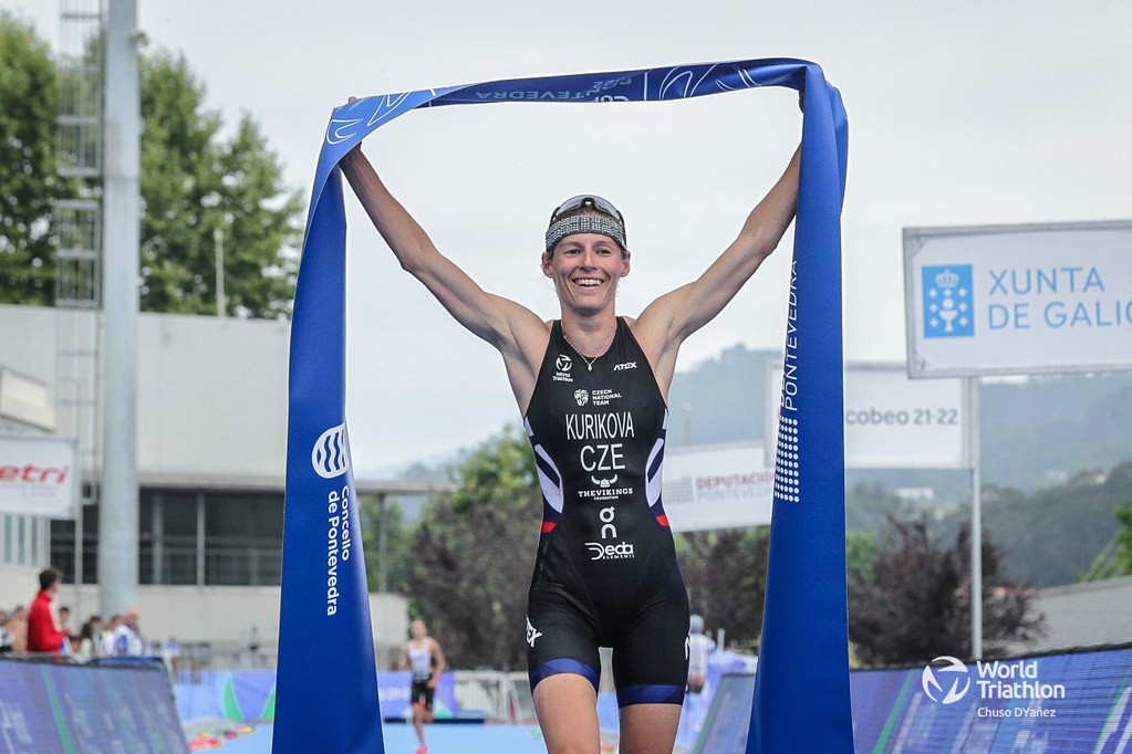 profesionální sport